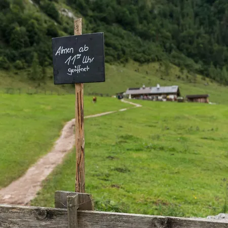 Max Hofreiter Jun. *