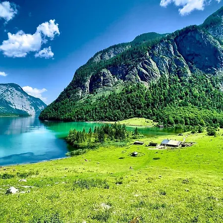 Max Hofreiter Jun. * Schönau am Königssee