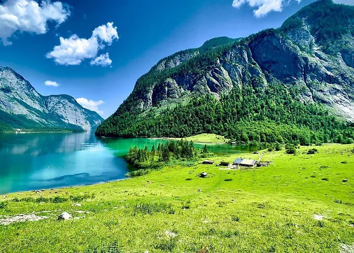 Max Hofreiter Jun. * Schönau am Königssee